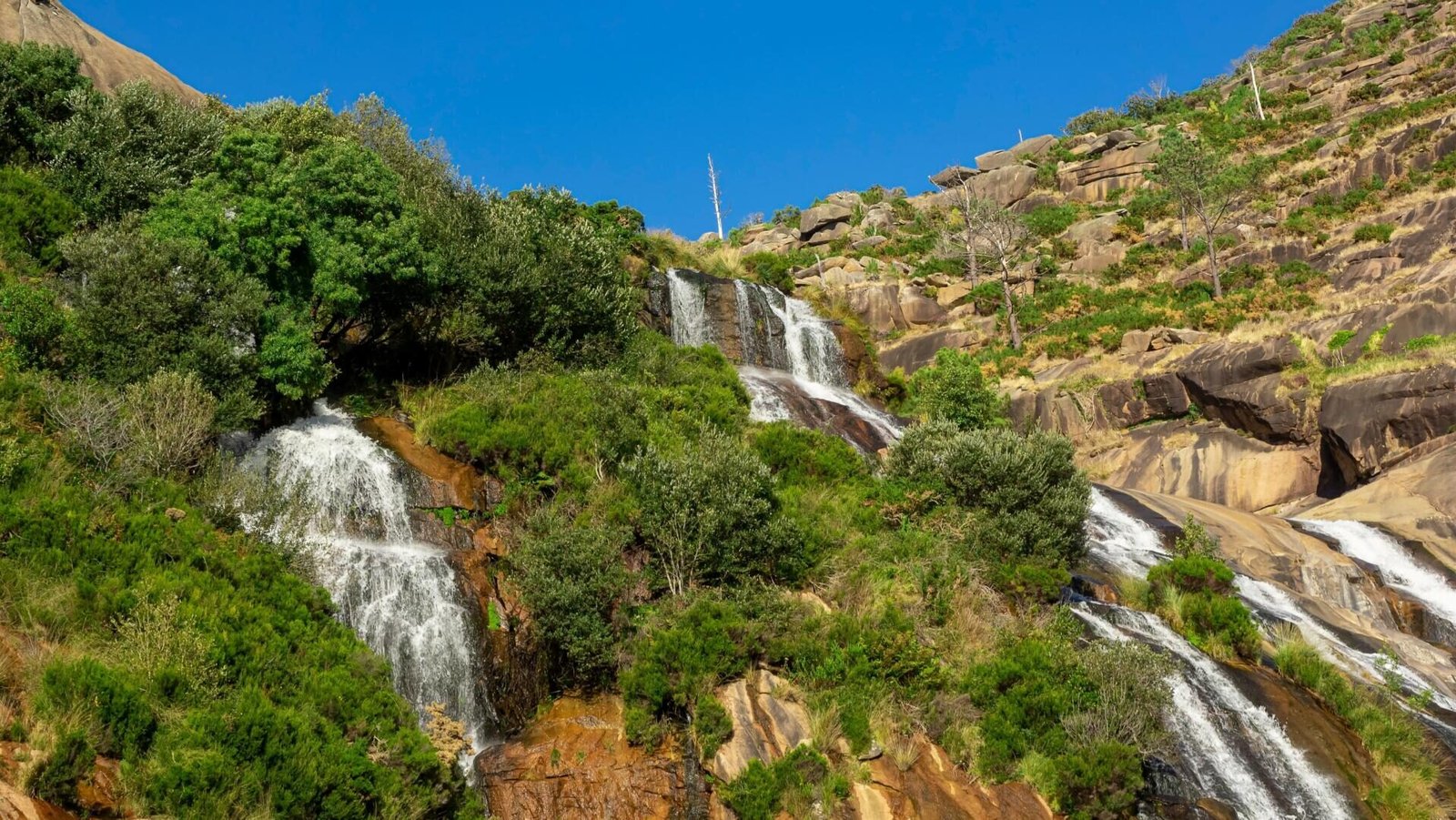 El futuro es lo importante